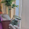 Easy Bud Auto (RQS) Cannabis-Samen zu verkaufen