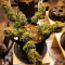 Compre sementes feminizadas CBD Auto 20: 1 da Fast Buds
