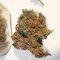 C4 Auto Seeds