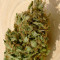 OG Kush Autoflowering CBD feminized seeds