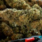 Venta de Super Critical (GHS) | Semillas de marihuana feminizadas