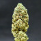 Graines féminisées de Grandmommy Purple (Herbies Seeds)