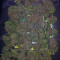Critical Seeds - Cannabis Strain Seeds for Sale