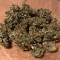 Auto AK XXL Seeds - Cannabis Strain Seeds for Sale