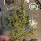 Bruce Banner #3 semi femminizzati (Blimburn Seeds)
