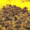 Amnesia Seeds (Seedstockers)