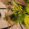 Comprar Grandaddy Purple (GDP) no Brasil