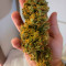 Bruce Banner Seeds (Seedstockers) - Cannabis Strain Seeds for Sale