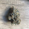 Runtz Muffin Seeds (Barney’s Farm)