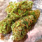 Ghost Train Haze เมล็ดพันธุ์สตรี (Seedkeepers)
