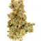 Graines de cannabis Panama D.C. (CannaBioGen)