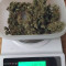 Amnesia XXL Autoflowering Seeds - Cannabis Strain Seeds for Sale