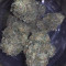 Green Gelato Seeds - Cannabis Strain Seeds for Sale