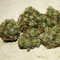 GH Cheese (GHS)