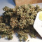 NYC Diesel Seeds