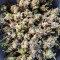 Auto CBD Kush 1:1 (Herbies Seeds)
