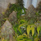 Durban Poison Seeds (Dutch Passion) - Cannabis Strain Seeds for Sale