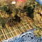 Bubblegum XL Seeds - Cannabis Strain Seeds for Sale