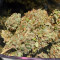 Blue Gelato 41