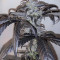 La Diva Auto (Delicious Seeds)
