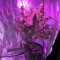 Violeta feminized seeds