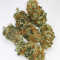 Tropicanna Poison F1 Fast Version Feminized Seeds (Sweet Seeds)