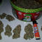 LSD Seeds - Cannabis Strain Seeds for Sale