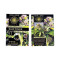 Graines de cannabis Blue Power (Vision Seeds)