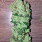 Ruderalis Skunk regular (Sensi Seeds)