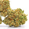 Sugarloaf (CannaBioGen)