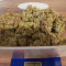 Quick Critical + (Dinafem Seeds)