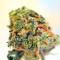 Graines de cannabis Buzz Light Gear (Dr. Krippling Seeds)