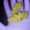 Banana Bomb Seeds