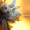 Semi regolari di Hash Plant (Sensi Seeds)