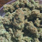 Do-Si-Dos OG Seeds - Cannabis Strain Seeds for Sale