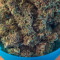 Original Auto BubbleGum Seeds