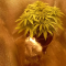 Critical Kush Seeds (Barney's Farm)