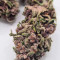 Bubba Kush (Feminized) seeds for sale
