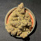 Buy Chempie feminized seeds by Ripper Seeds