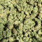 Deadhead OG (Cali Connection Seeds)