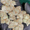 Bubble Bomb feminized seeds