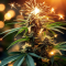 Semi di Pineapple Express Auto femminizzati (Fast Buds)