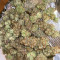 White Rhino (Herbies Seeds)