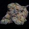 Graines de cannabis Girl Scout Cookies (Big Head Seeds)