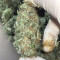 GG#4 Original Glue Seeds (Original Sensible Seeds) - Cannabis Strain Seeds for Sale