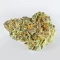 Kush Mints Fast Version Feminized Seeds (Seedkeepers)