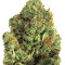 Graines de cannabis Midnight Mass (Heavyweight Seeds)