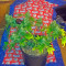 Graines de cannabis Roadrunner Autoflowering #2 (Dinafem Seeds)