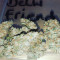 Delhi Friend (Dr. Krippling Seeds)