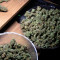 Dizzy Lights Auto feminized seeds